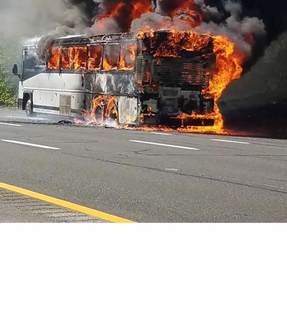 bus